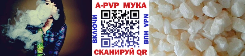 omg tor Вельск Alpha PVP СК