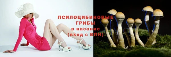 трава Сафоново